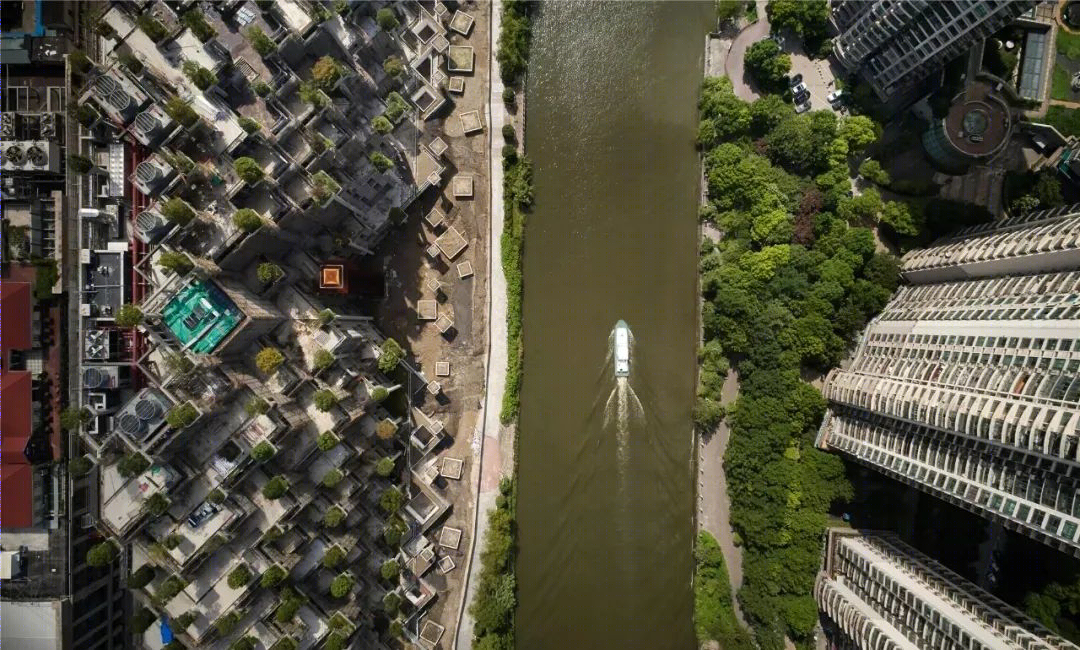 上海“天安·千树”丨中国上海丨Thomas Heatherwick-18