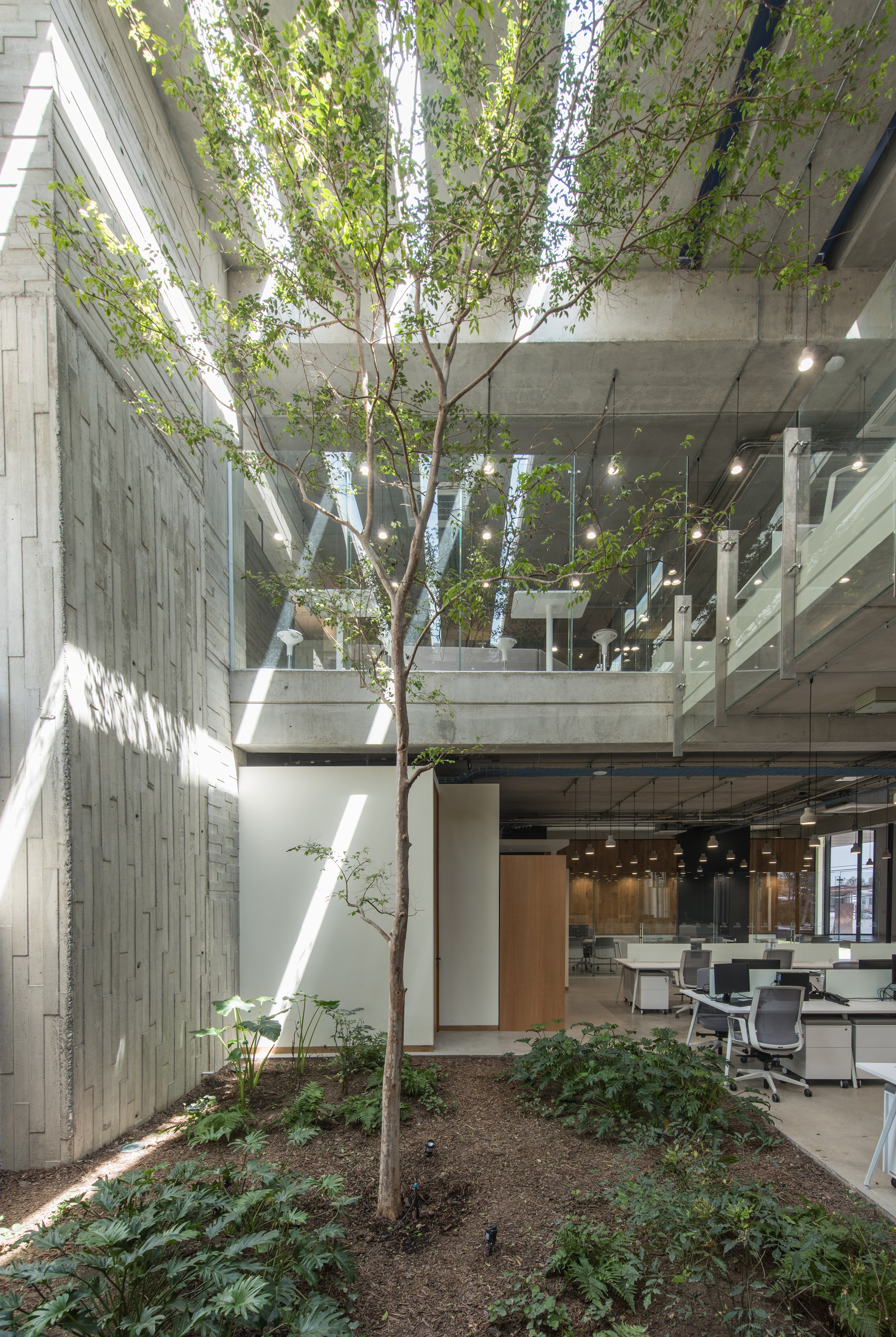 安特乌斯建筑公司总部-17