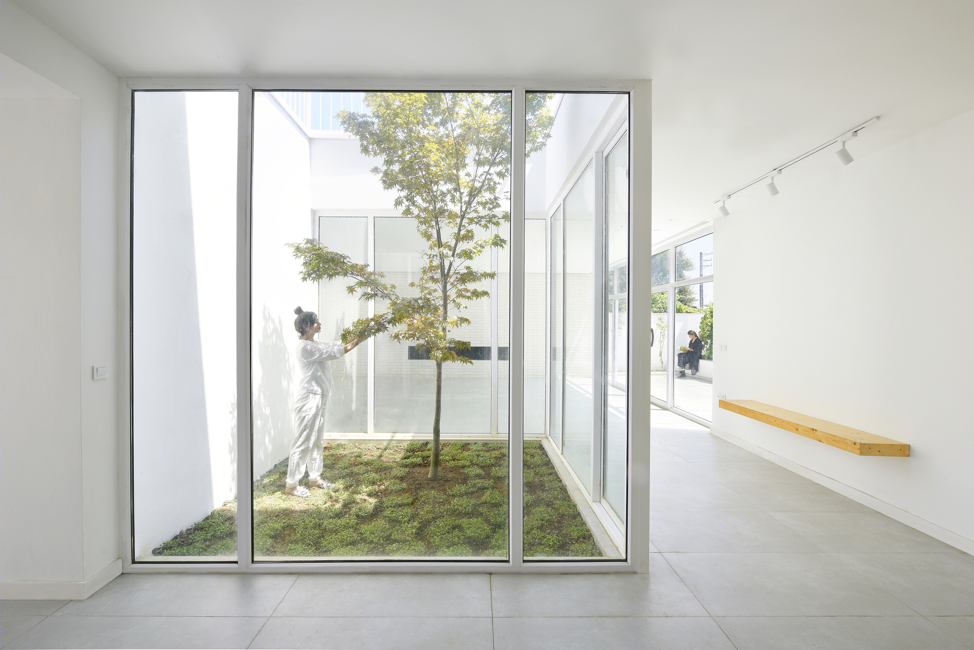 伊朗 Afra House | 自然光与绿意融入简约空间的宗教隐私设计-3