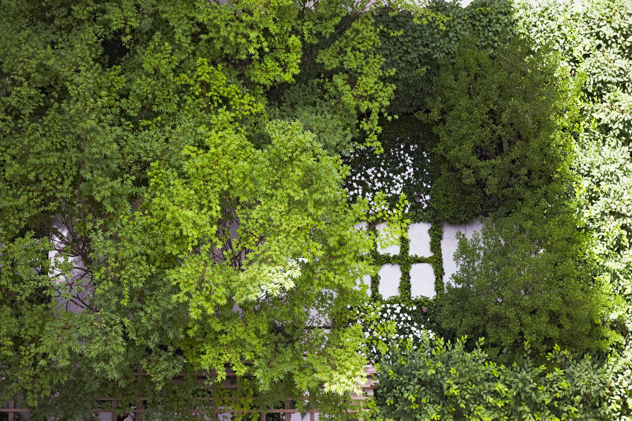 城市庭院和屋顶-8