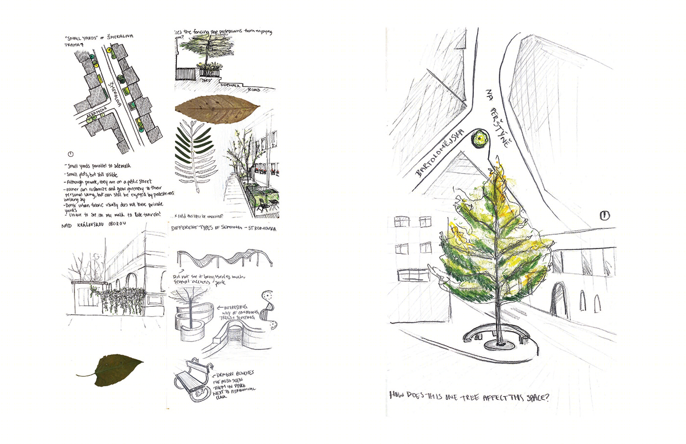 Emily Cedeno | Architecture-2