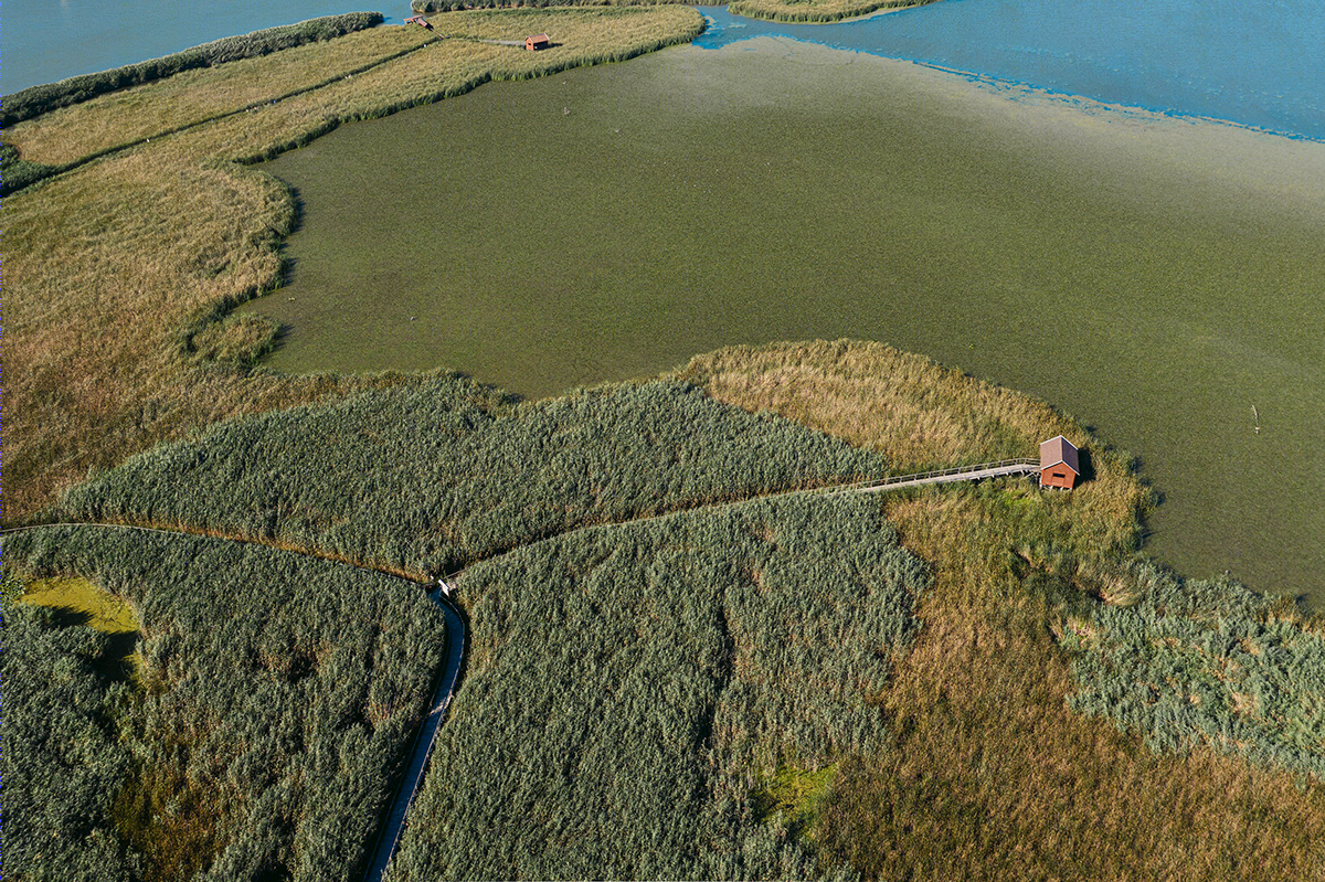 匈牙利 Lake Tisza 湖泊景观设计丨Szabó Viktor-2