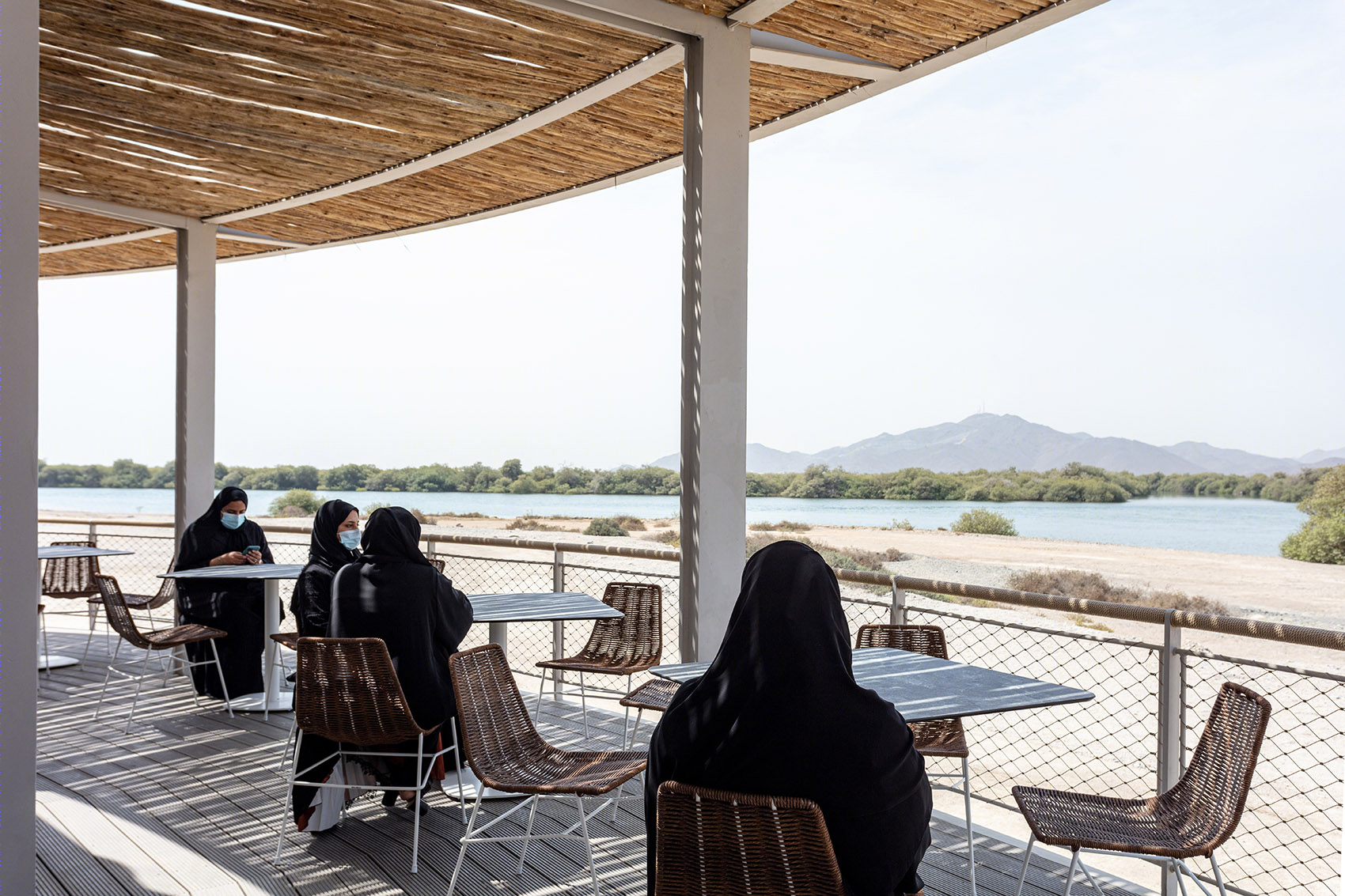 阿联酋 Khor Kalba 海龟保护中心丨Hopkins Architects-41