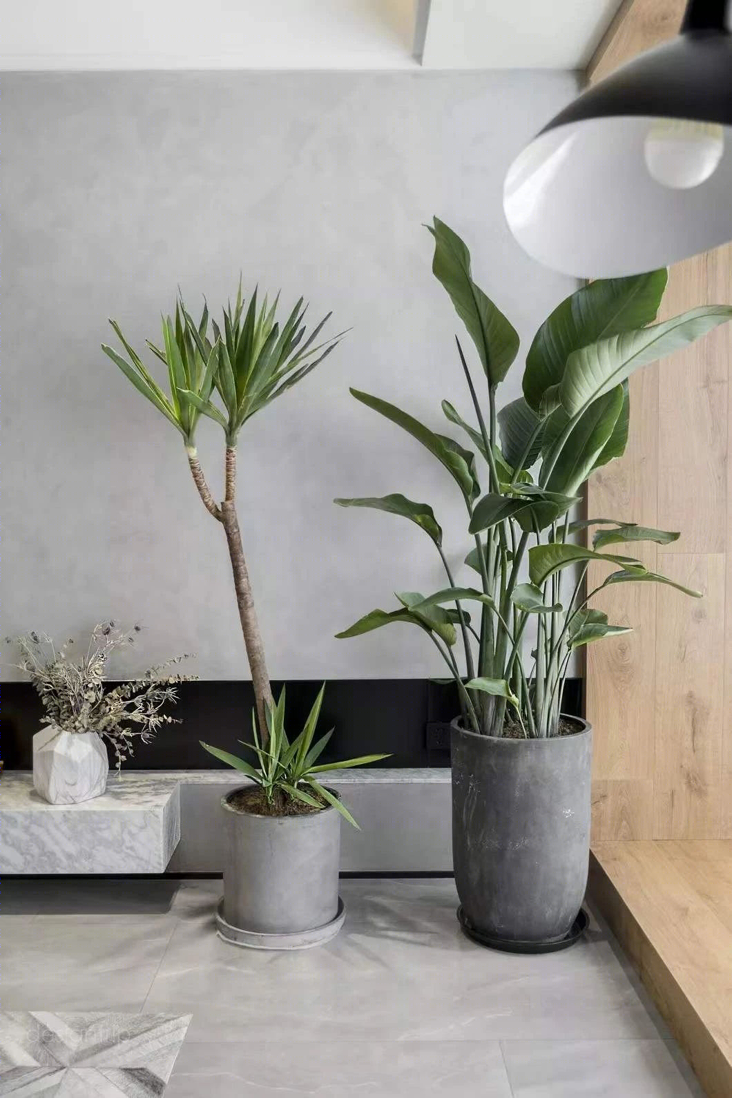 水泥墙的禁欲美学 | 现代设计的本质回归-19