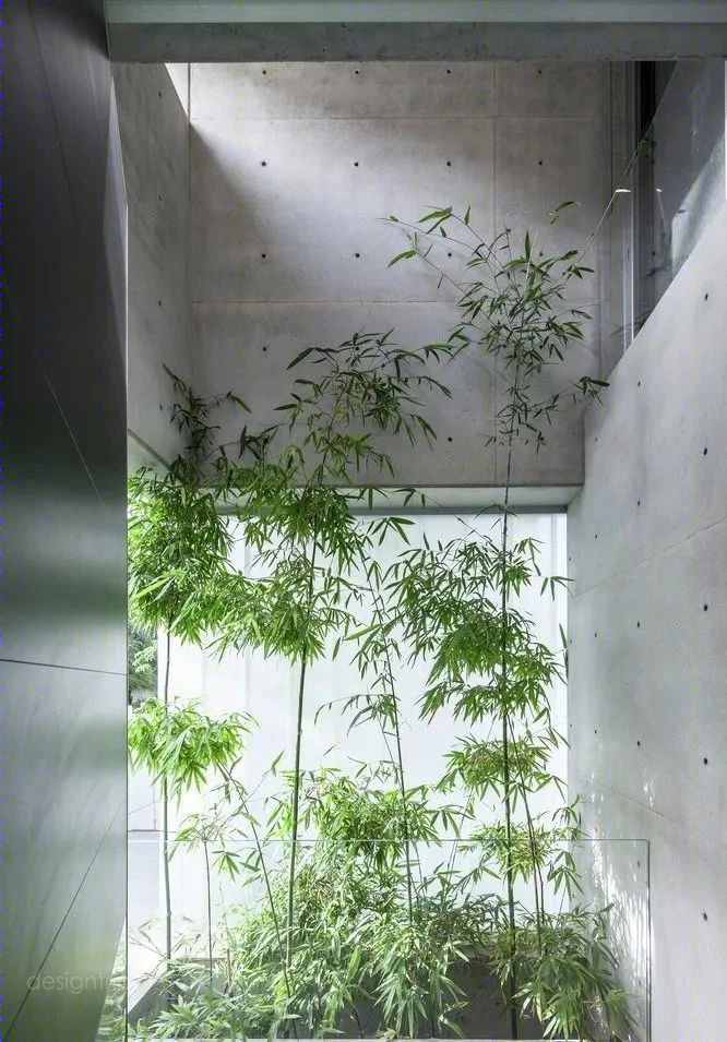 水泥墙的禁欲美学 | 现代设计的本质回归-18