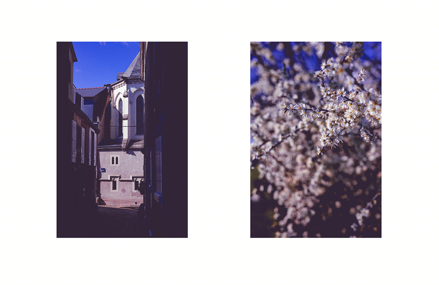 魅力安茹古城丨法国-14