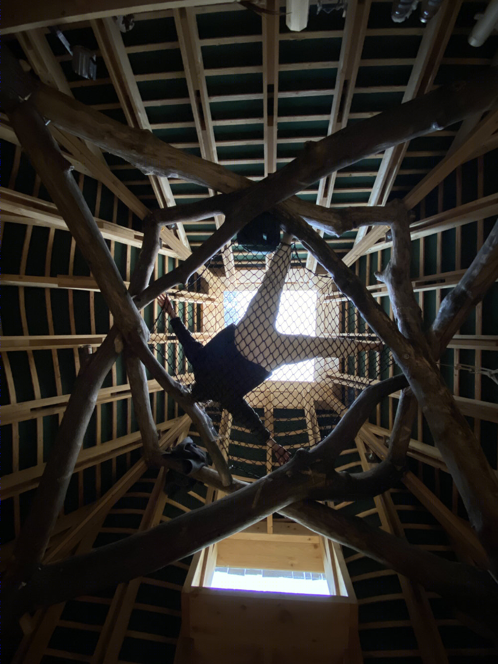 英国林地小屋 · 2020 · AA Design and Make-29