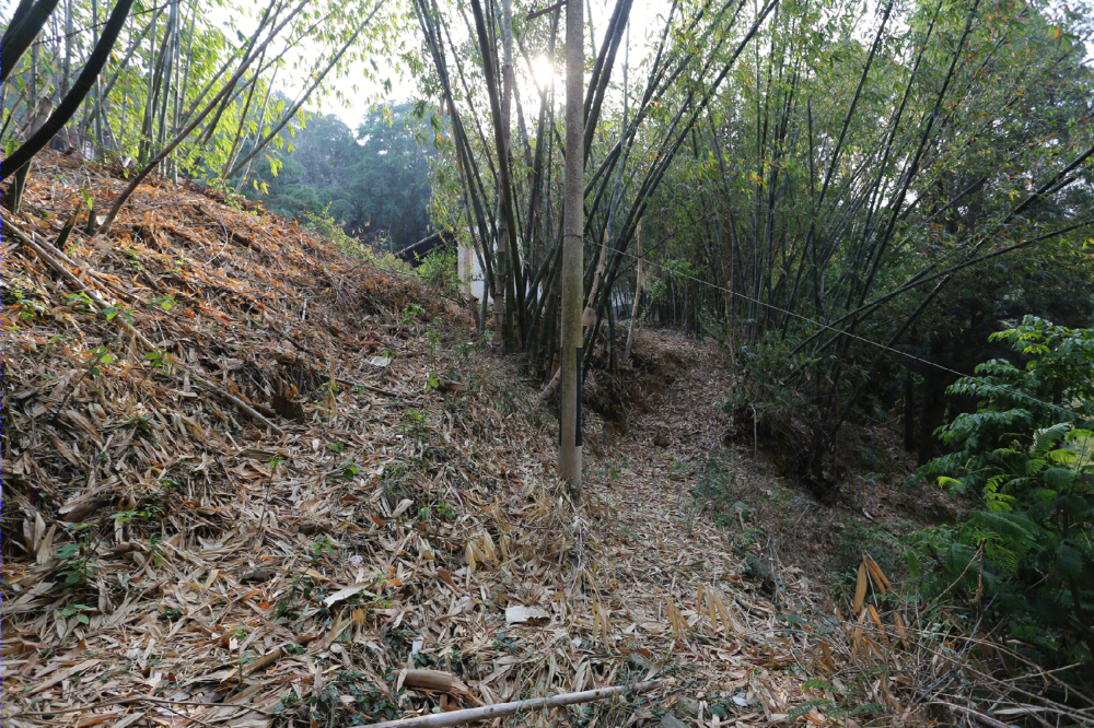 杨永铨打造云南秀山寺禅意酒店设计-50