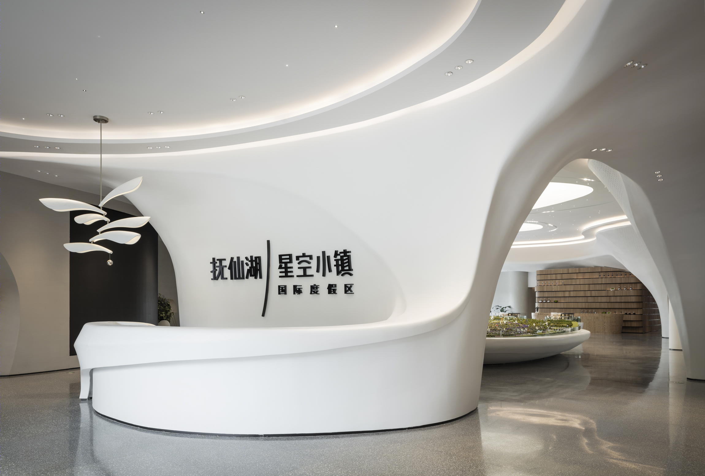 中国·抚仙湖星空小镇国际度假区-4