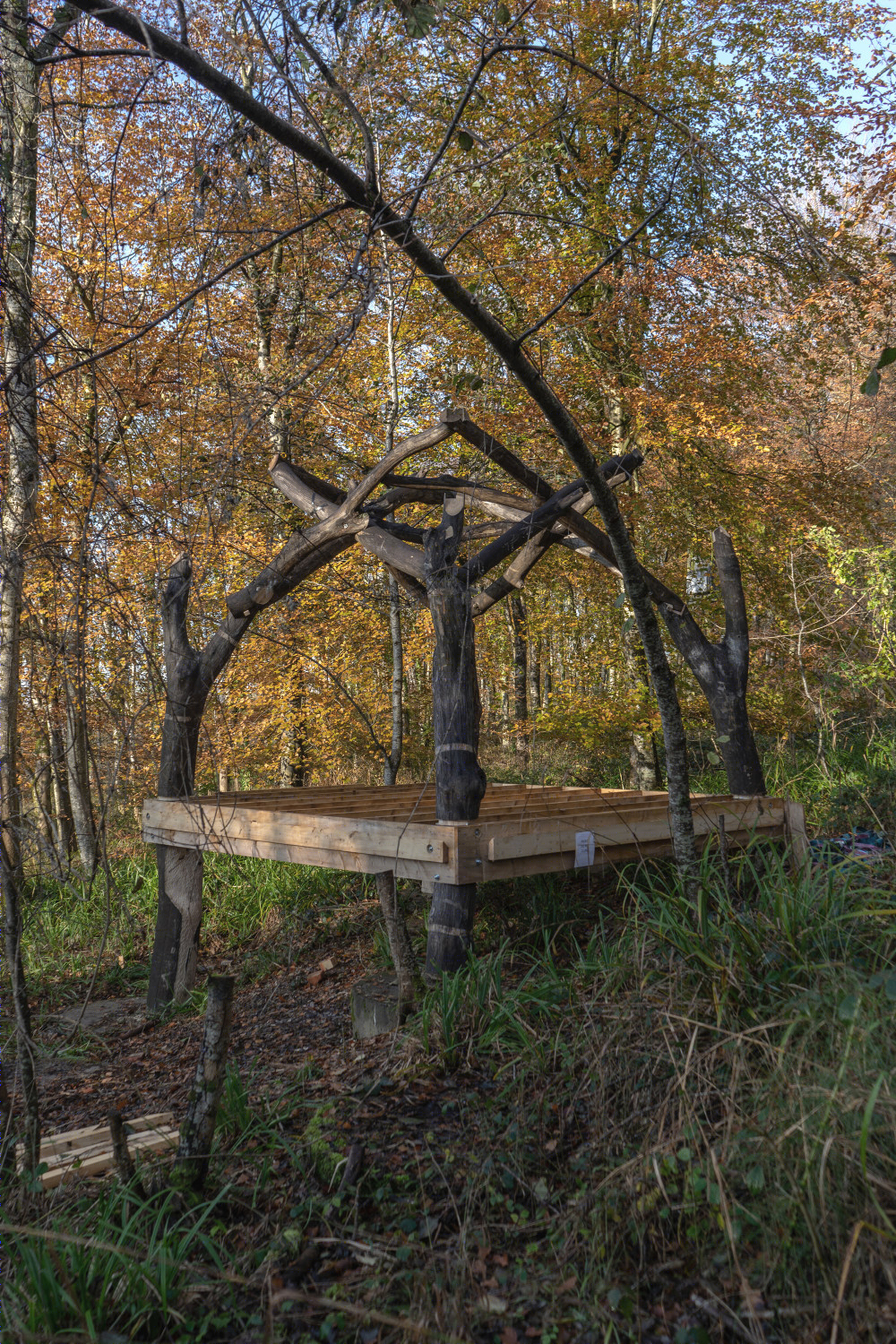 英国林地小屋 · 2020 · AA Design and Make-30