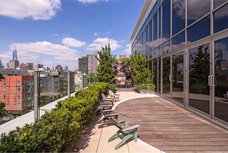 纽约曼哈顿下东区顶层公寓-6