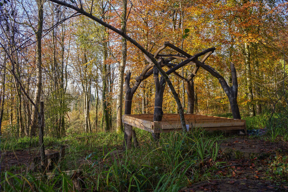 英国林地小屋 · 2020 · AA Design and Make-34