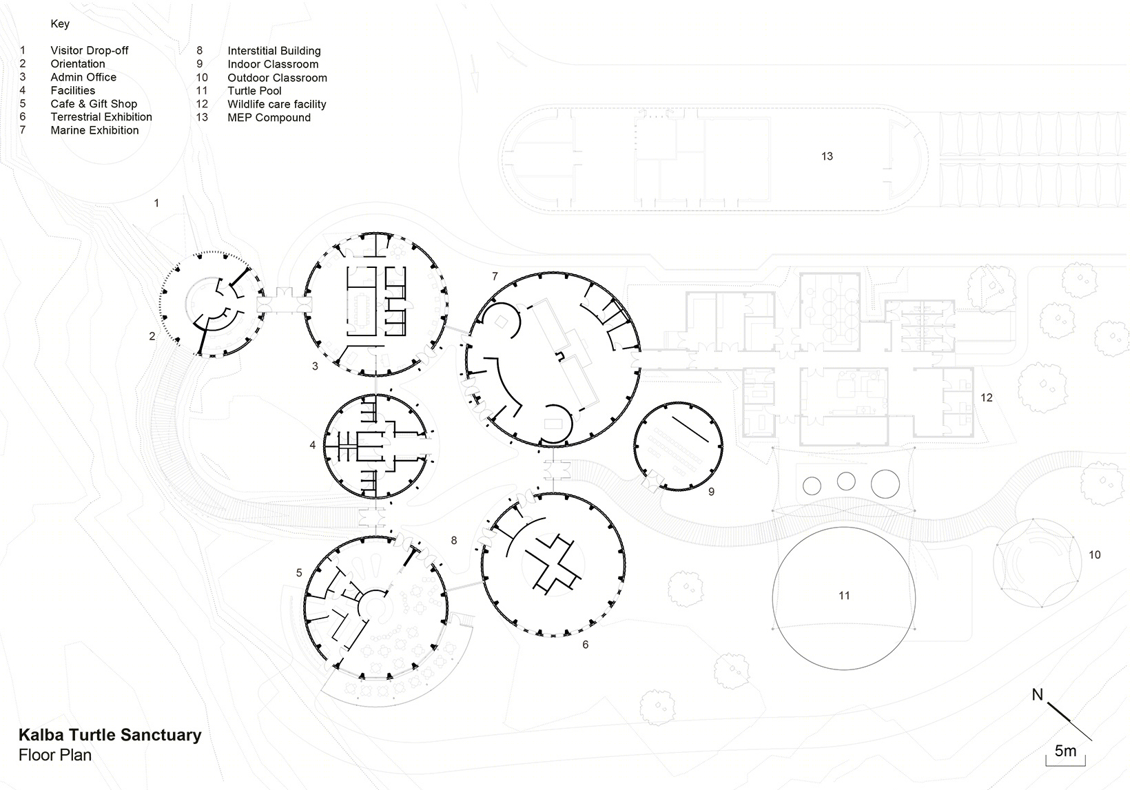 阿联酋 Khor Kalba 海龟保护中心丨Hopkins Architects-57