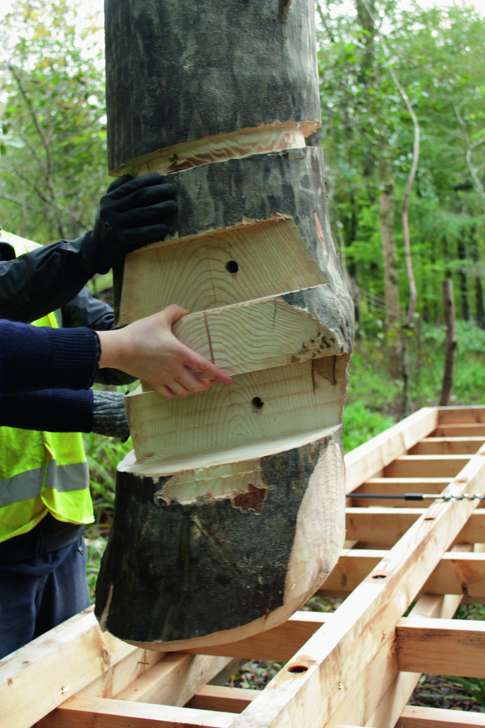 英国林地小屋 · 2020 · AA Design and Make-37