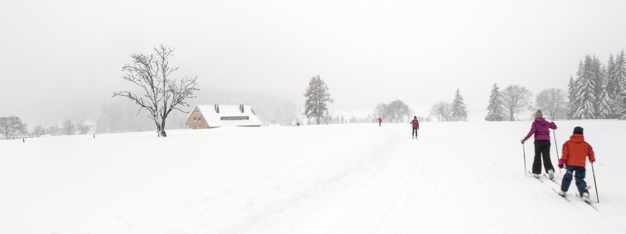 triarchitekti 丨别墅建筑丨 Mountain Chalet in the Šumava National Park-18