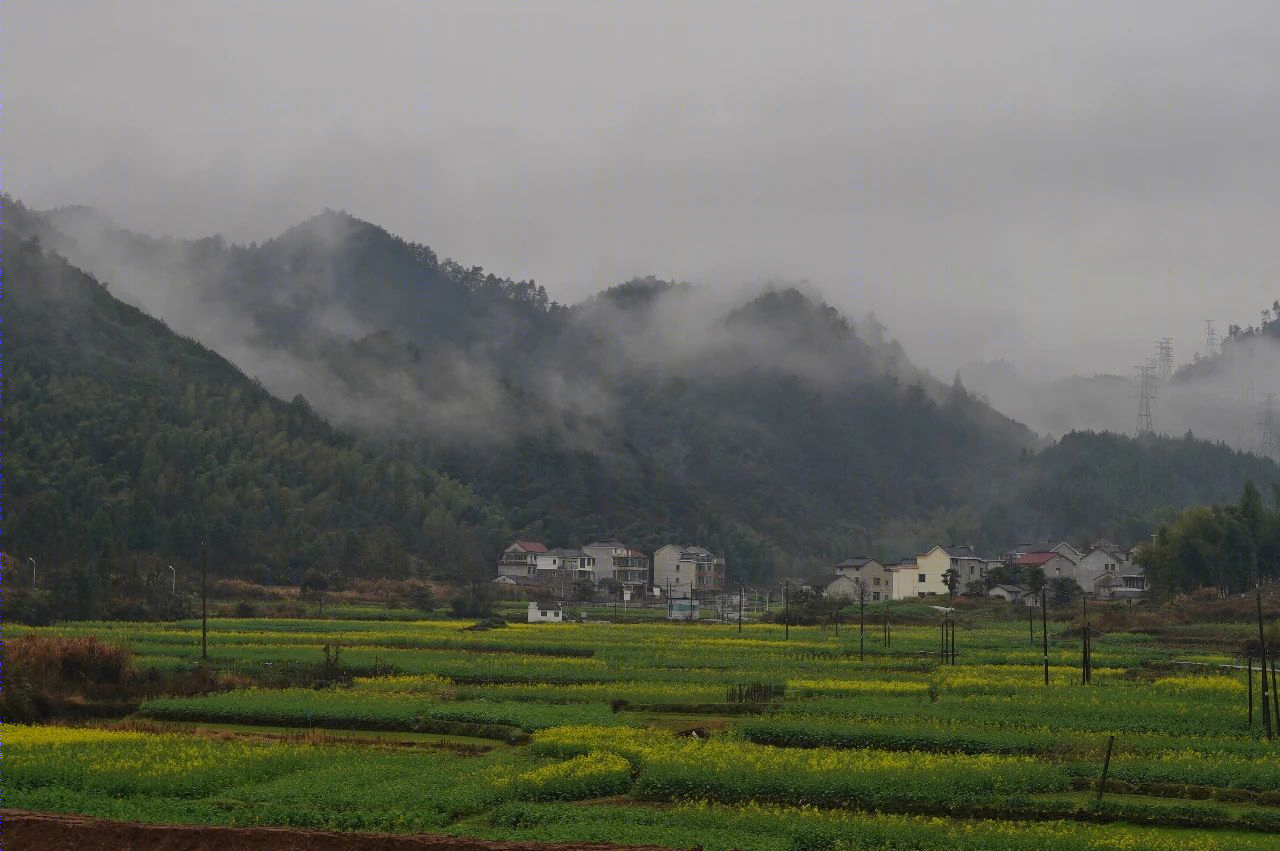 杭州千岛湖｜千岛玄山·岦外丨中国杭州-61