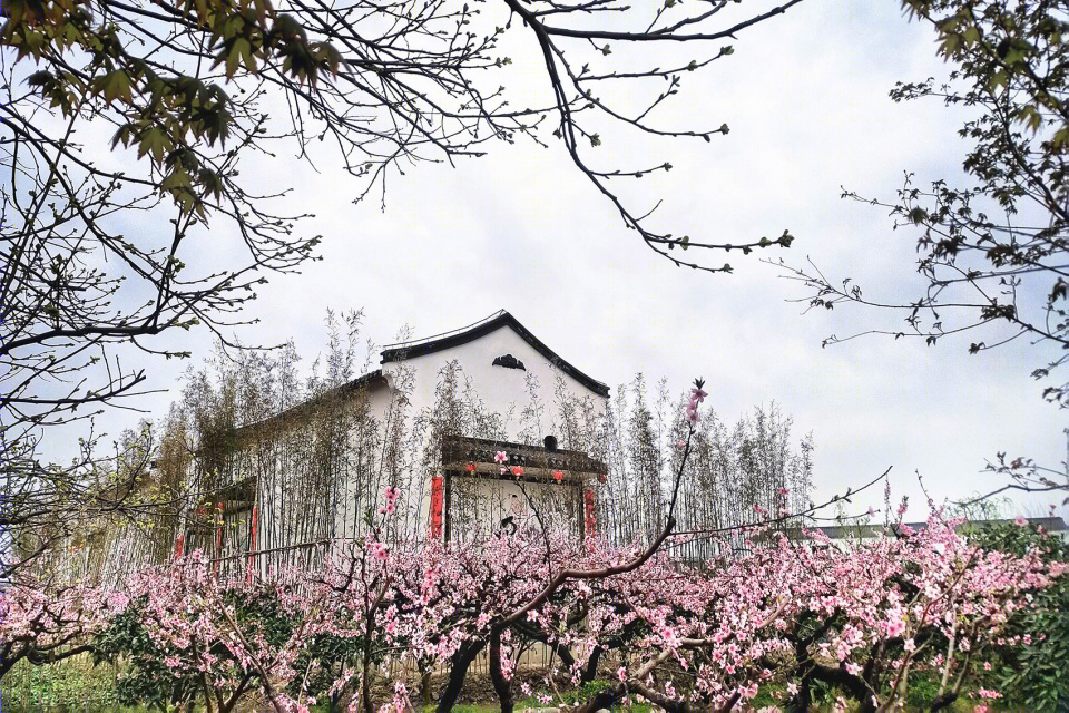 上海“乡村振兴示范村”·吴房村丨中国美术学院风景建筑设计研究总院-61