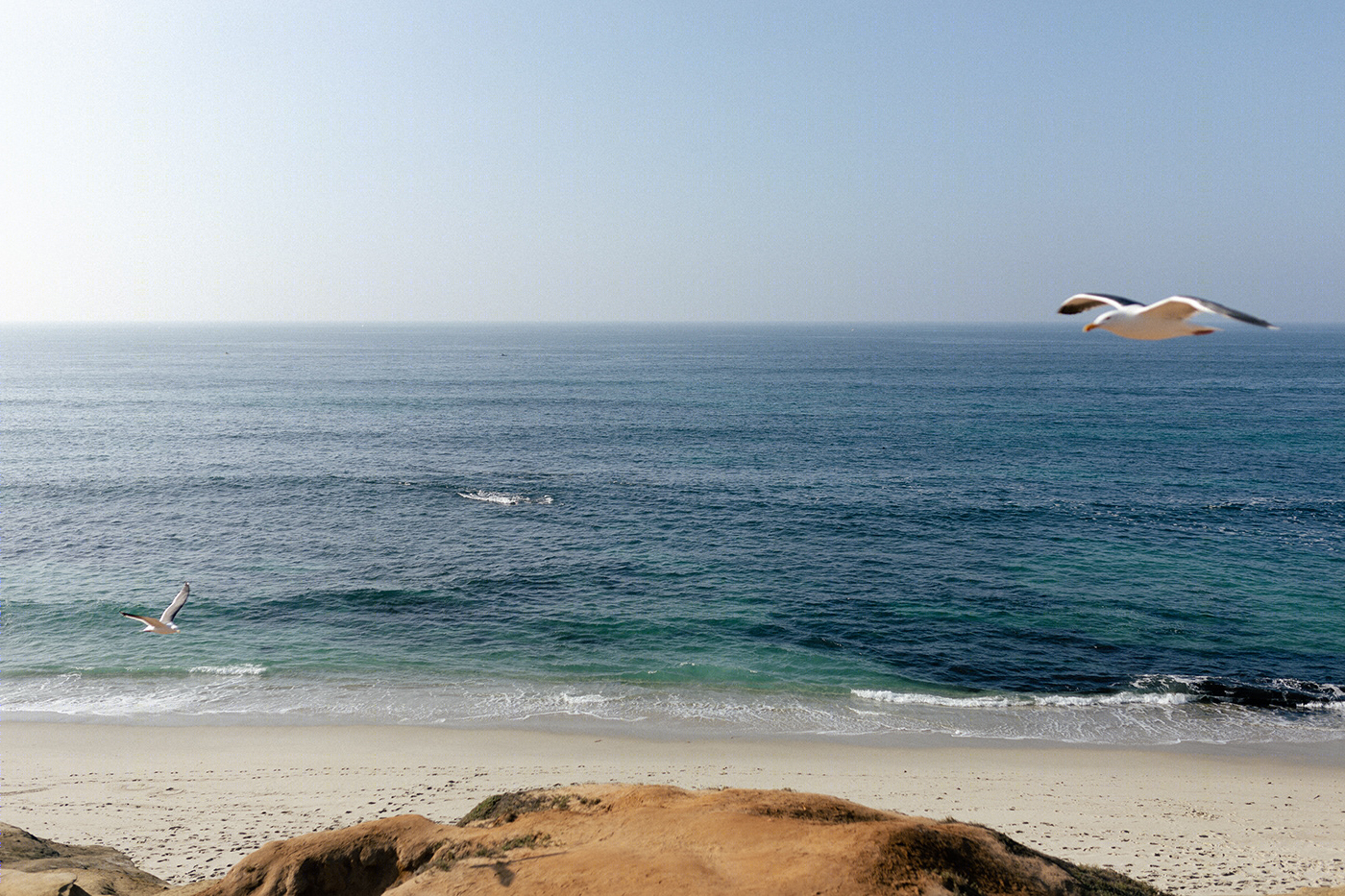 San Diego-3