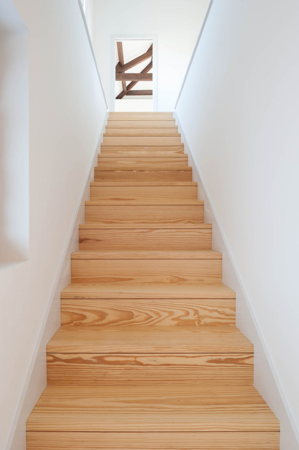 葡萄牙 Airães 村 19 世纪乡村住宅的现代改造-23