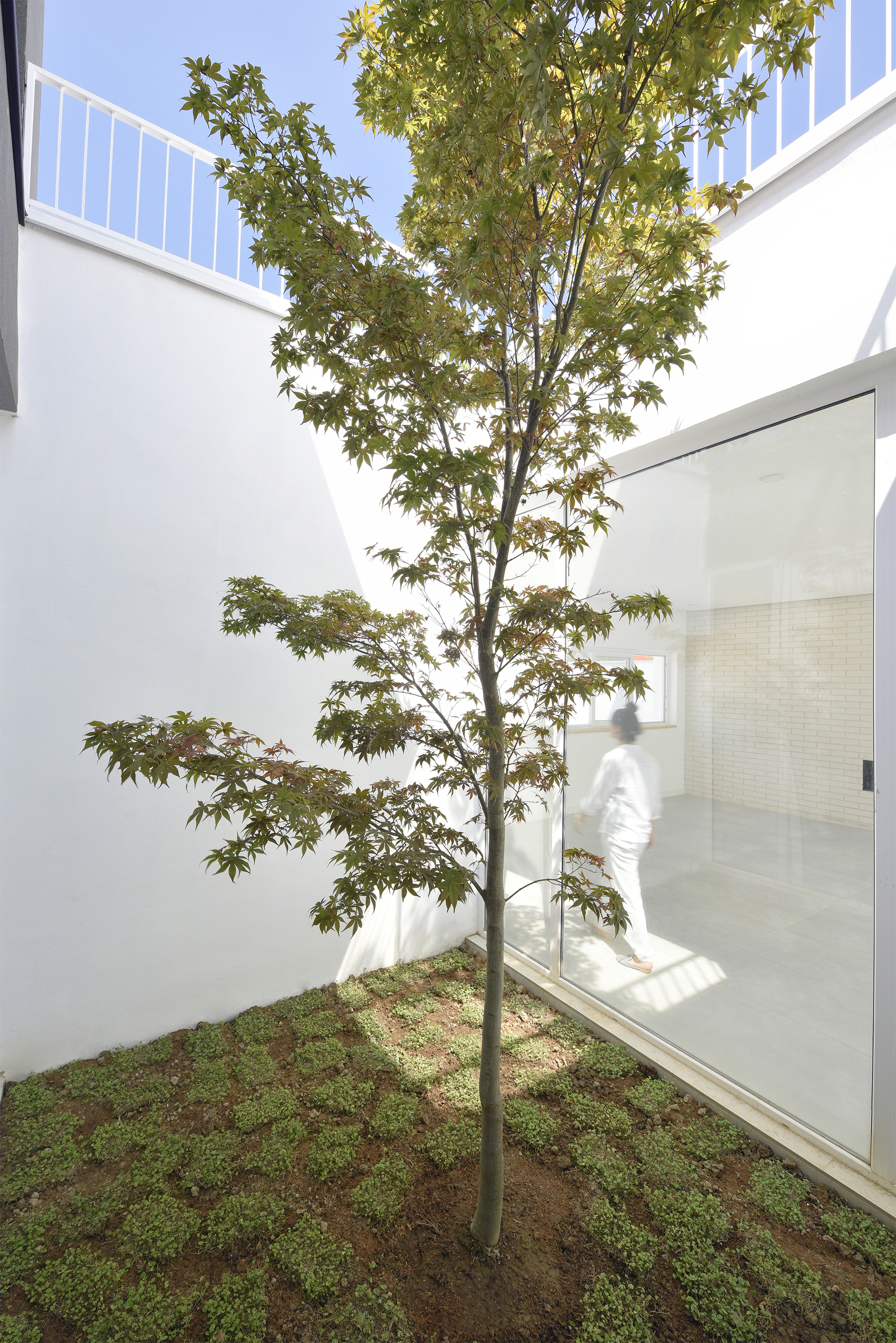 伊朗 Afra House | 自然光与绿意融入简约空间的宗教隐私设计-17