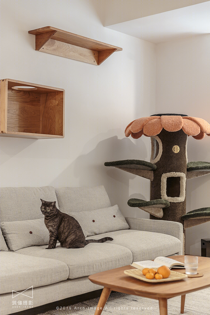 日系猫奴的精致宅 | 二手房的逆袭之路-3