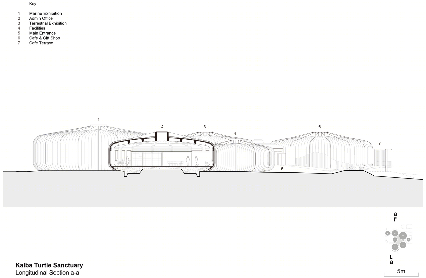 阿联酋 Khor Kalba 海龟保护中心丨Hopkins Architects-76