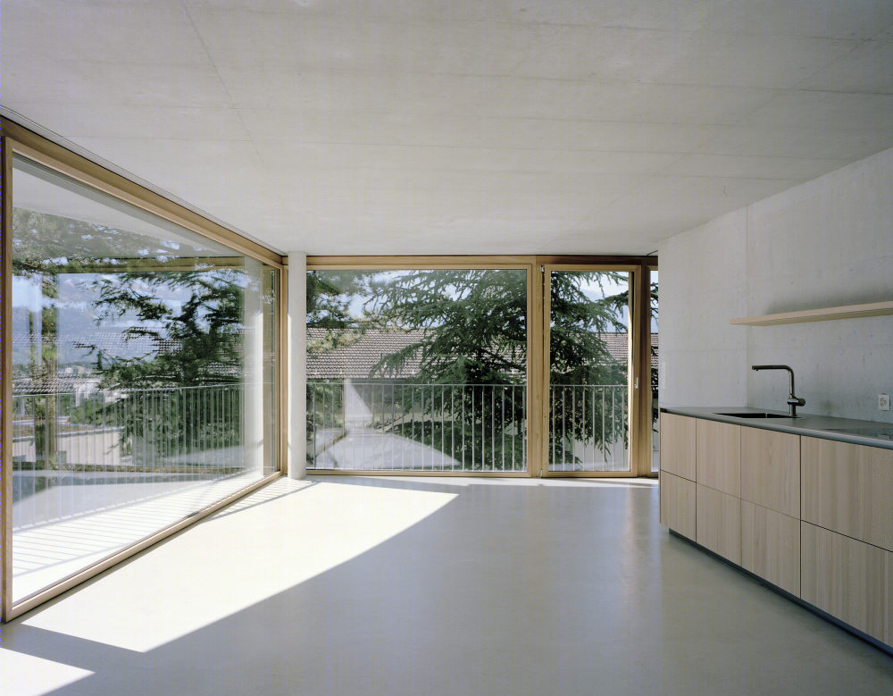 Triesen 公寓丨Degelo Architekten-14