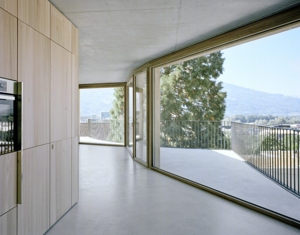 Triesen 公寓丨Degelo Architekten-15