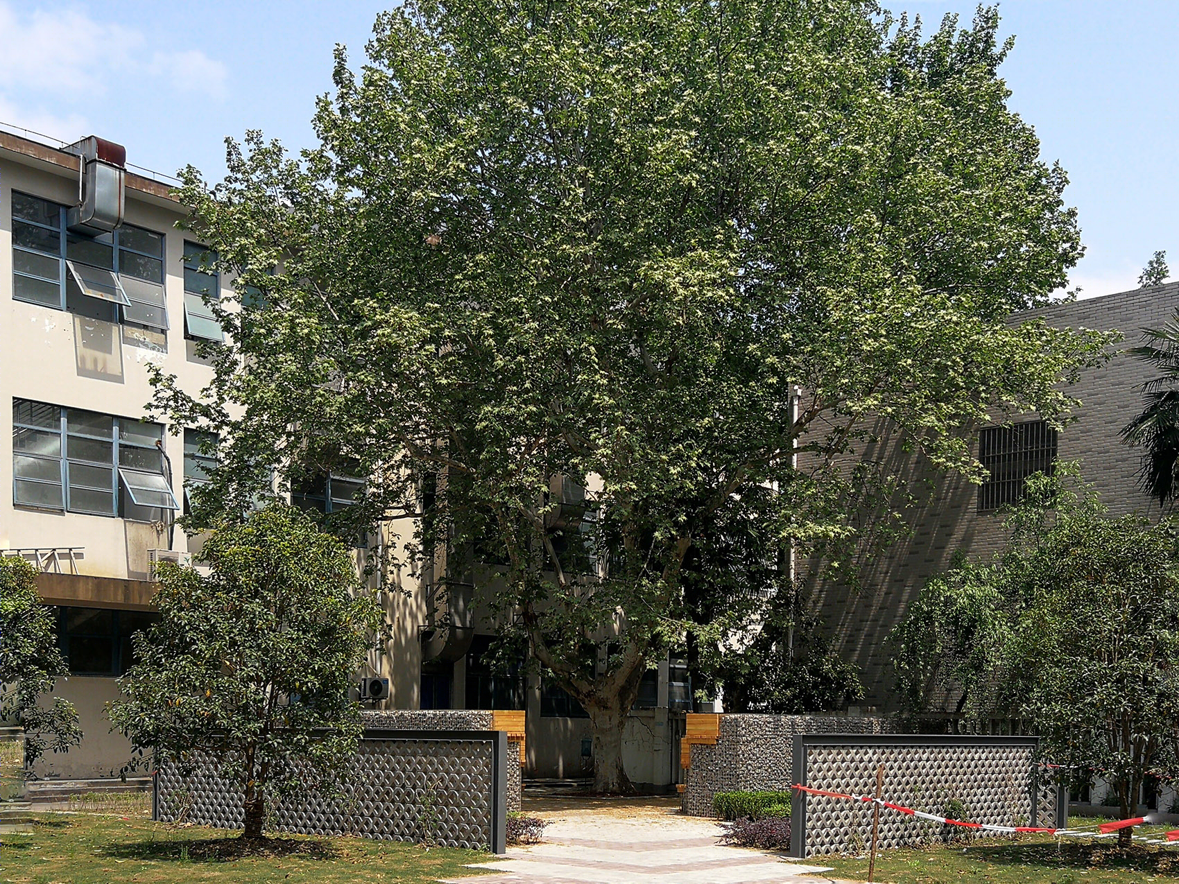 同济大学四平校区“废地”变“宝地”,四个广场创造绿色空间丨同济大学建筑设计研究院(集团)有限公司-14