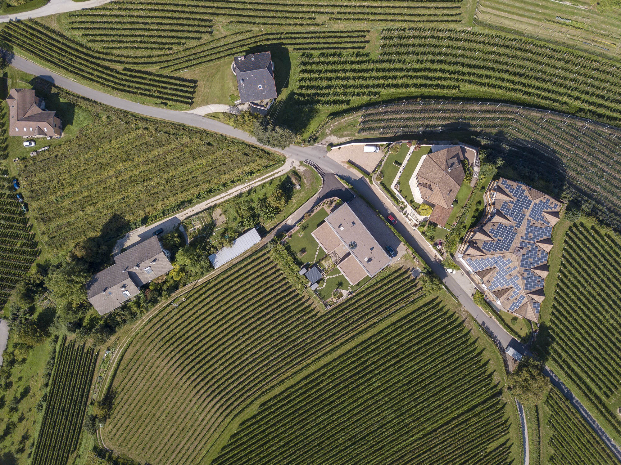 三世代共享家园 · House P2 绿色线性景观别墅丨monovolume architecture + design-27