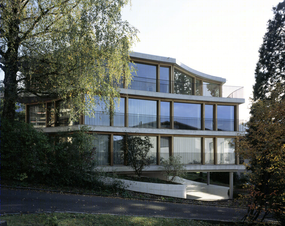 Triesen 公寓丨Degelo Architekten-16