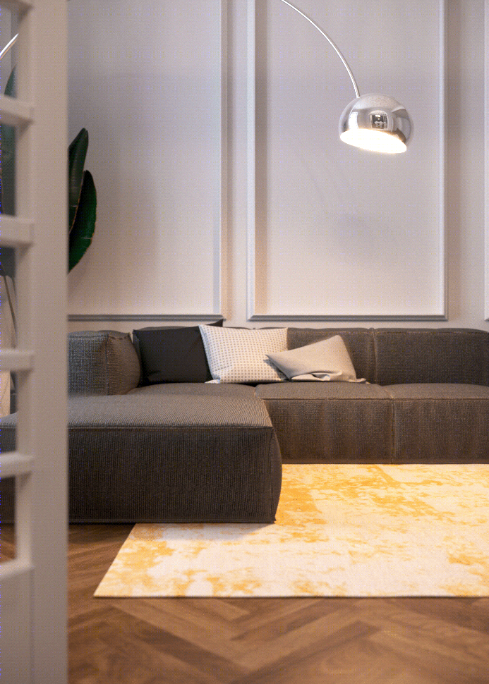 Haussmann 公寓改造-2