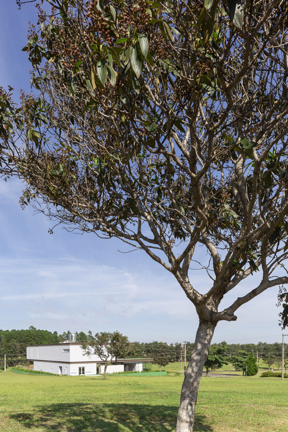 巴西 BT 别墅 | 金属结构与自然光的完美融合-72