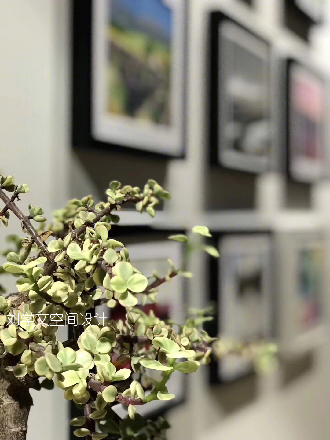 北京798艺术园区画廊原创设计-1