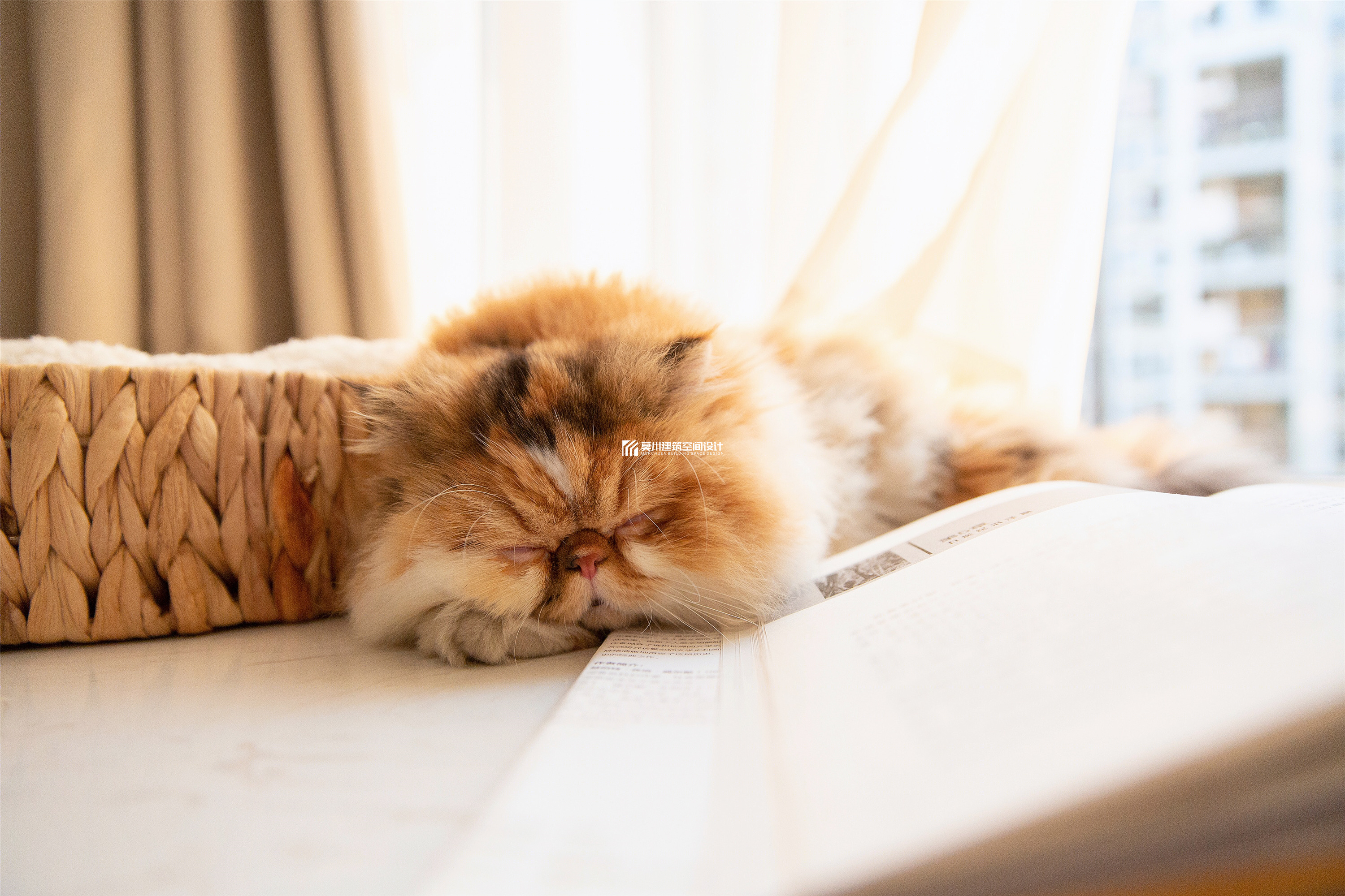 鼎太风华北欧风 IT 之家-8