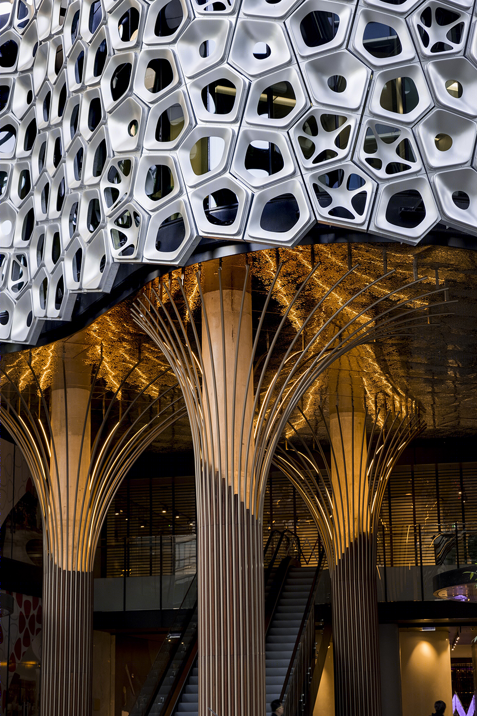 光所发出的声音-11