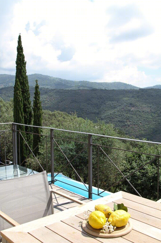 意大利利古里亚风格的山林别墅改造-7