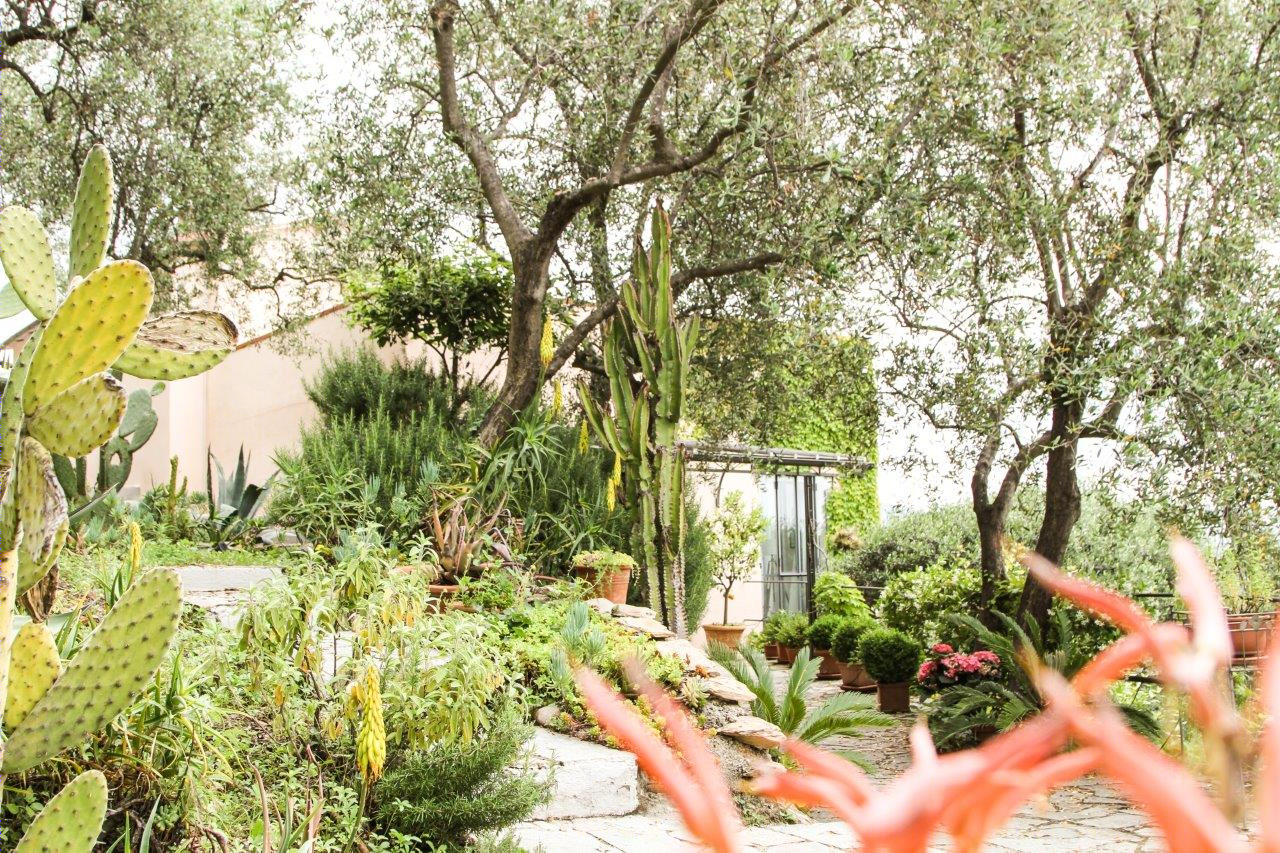 意大利利古里亚风格的山林别墅改造-11