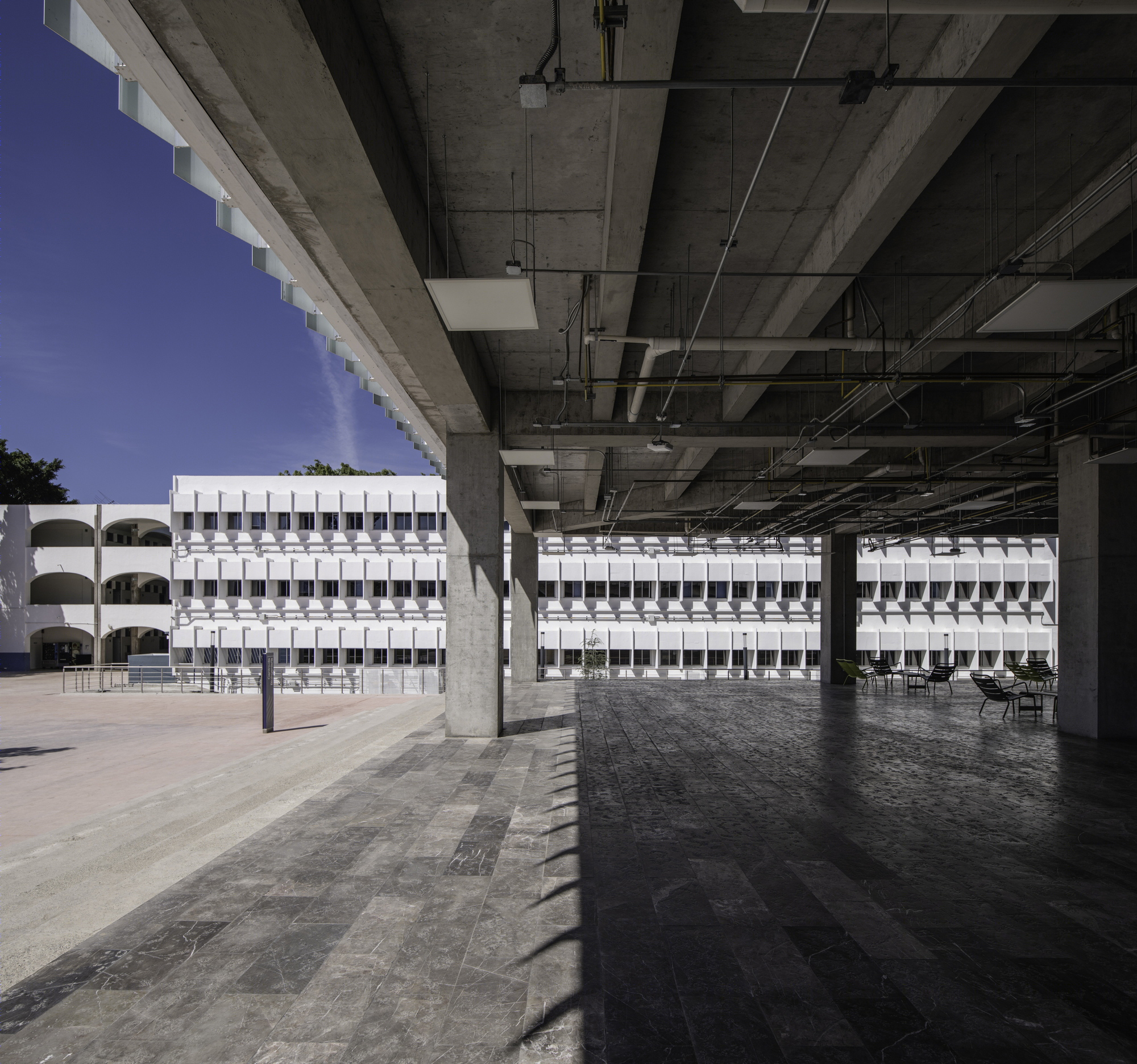 科技校园里的生物工程研究中心-19