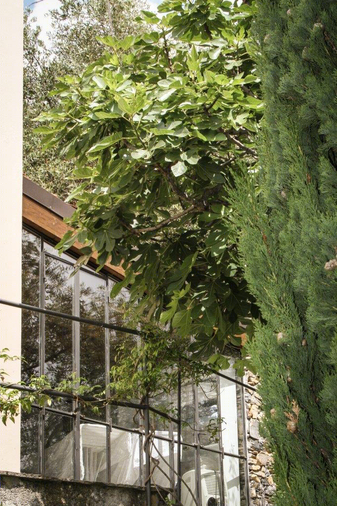 意大利利古里亚风格的山林别墅改造-13