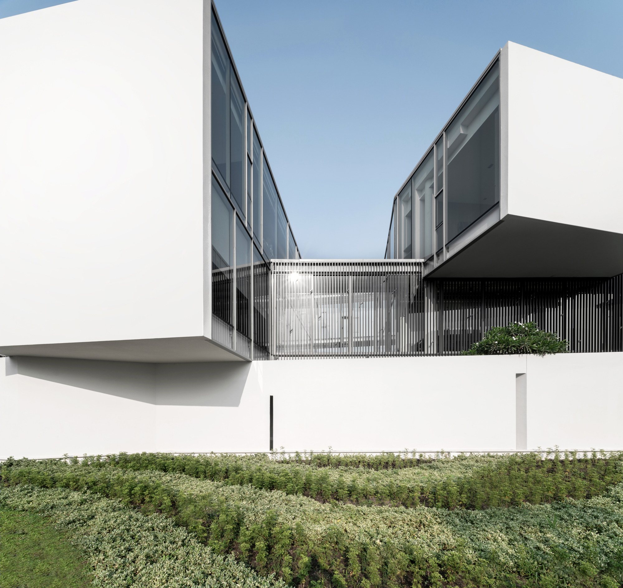 MDC 总部丨泰国-25