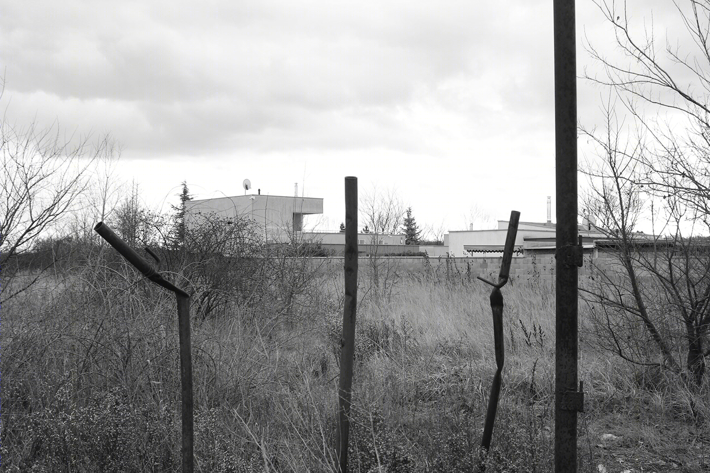 Expansive city-8