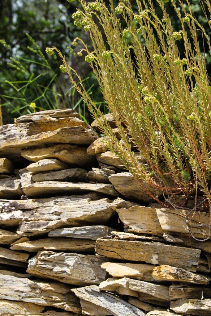 意大利利古里亚风格的山林别墅改造-15