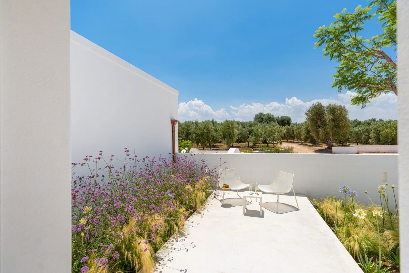 意大利百年橄榄园中的乡村别墅设计-4