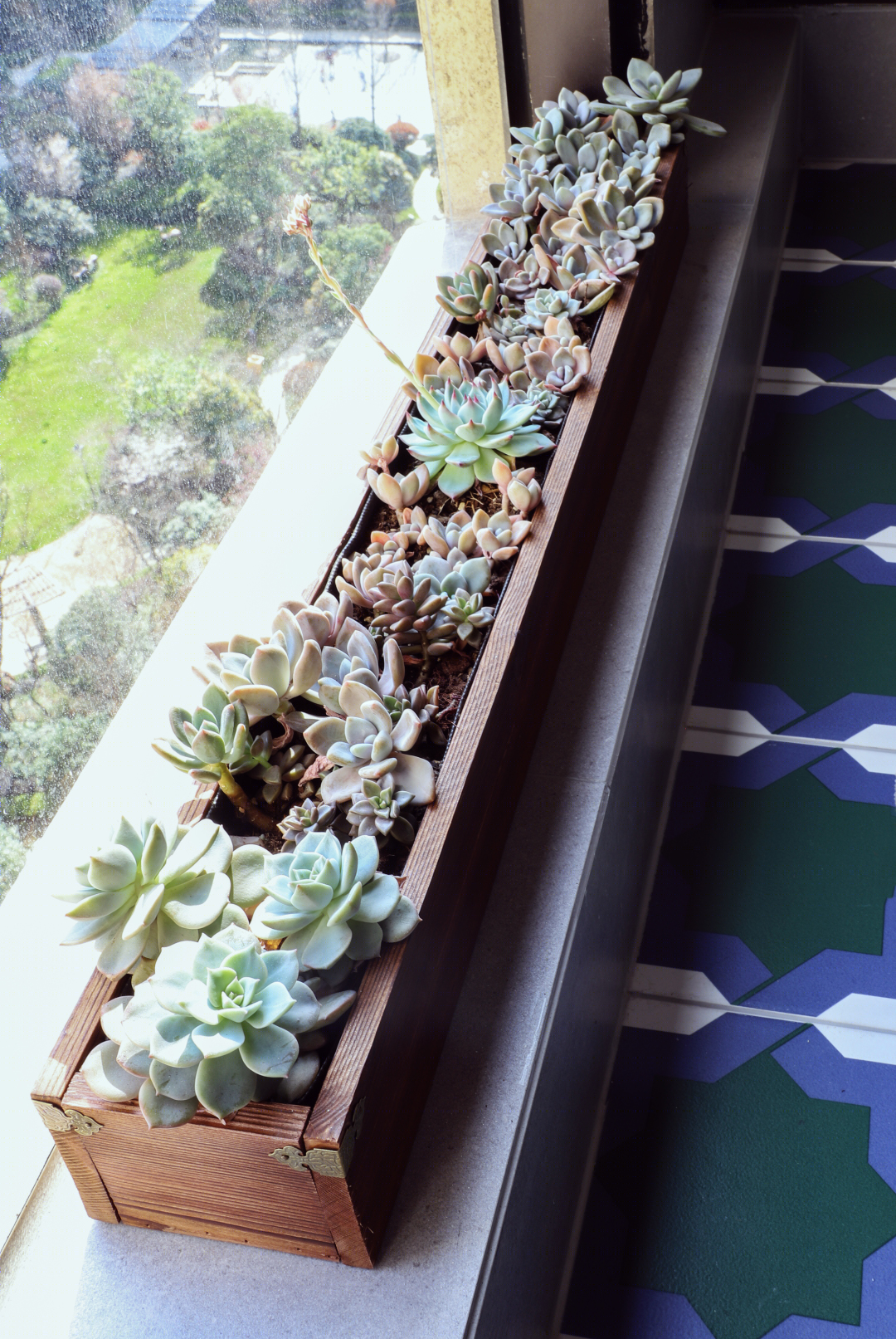 黄龙金茂悦89方北欧风-60