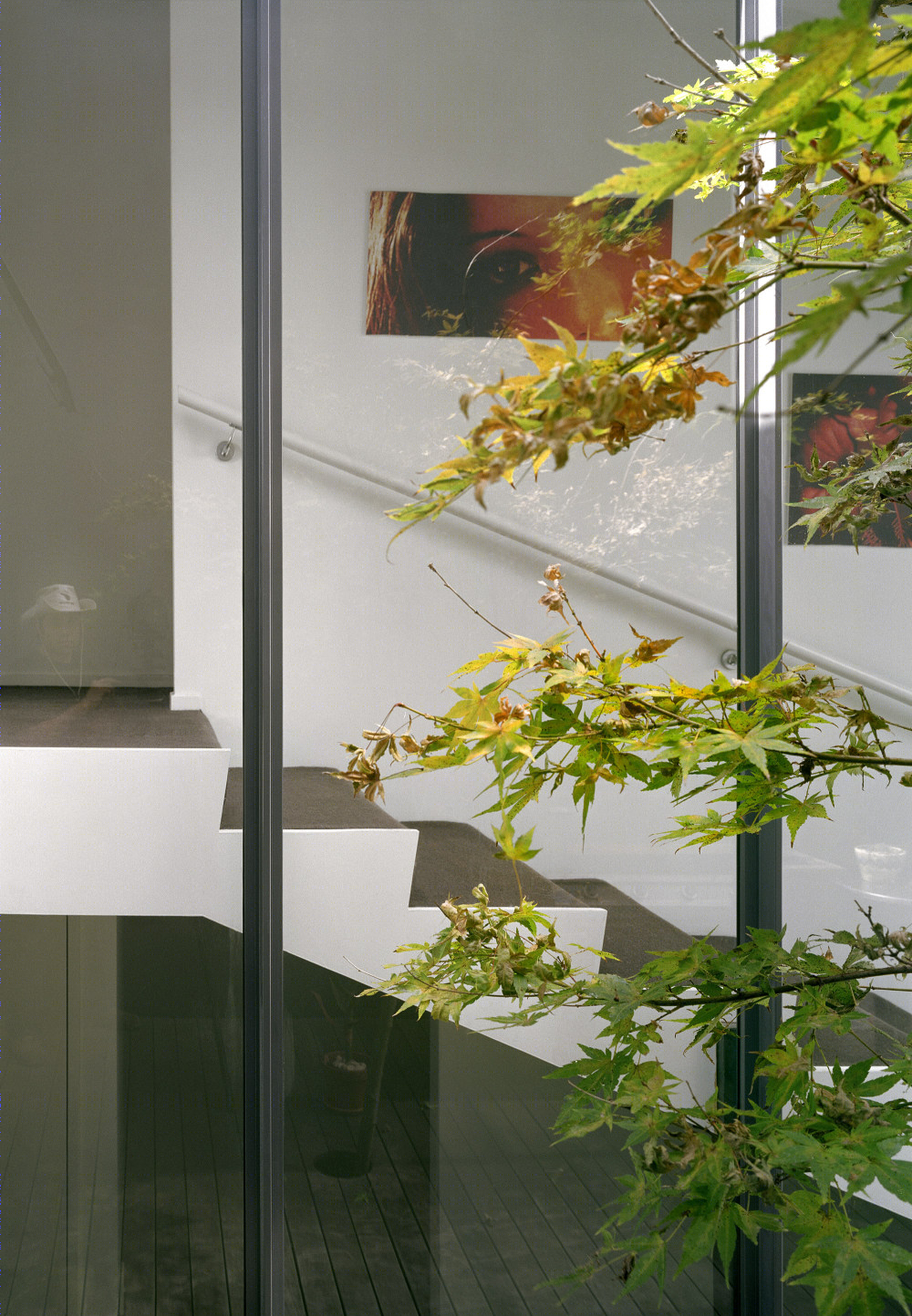 新西兰奥克兰 Beaumont 公寓设计-25