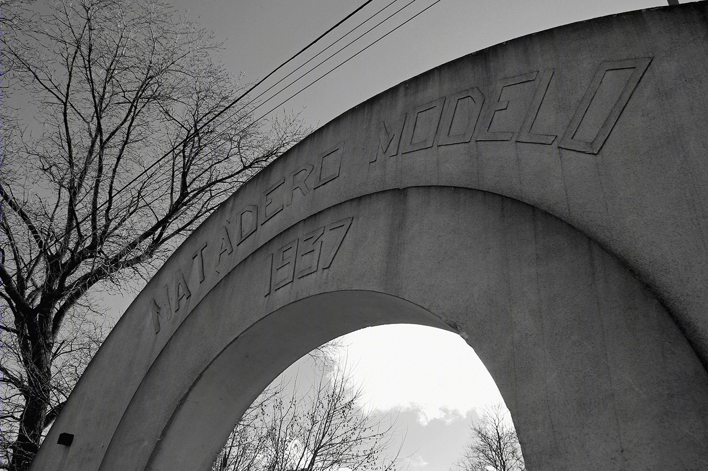 OBRAS FRANCISCO SALAMONE-0