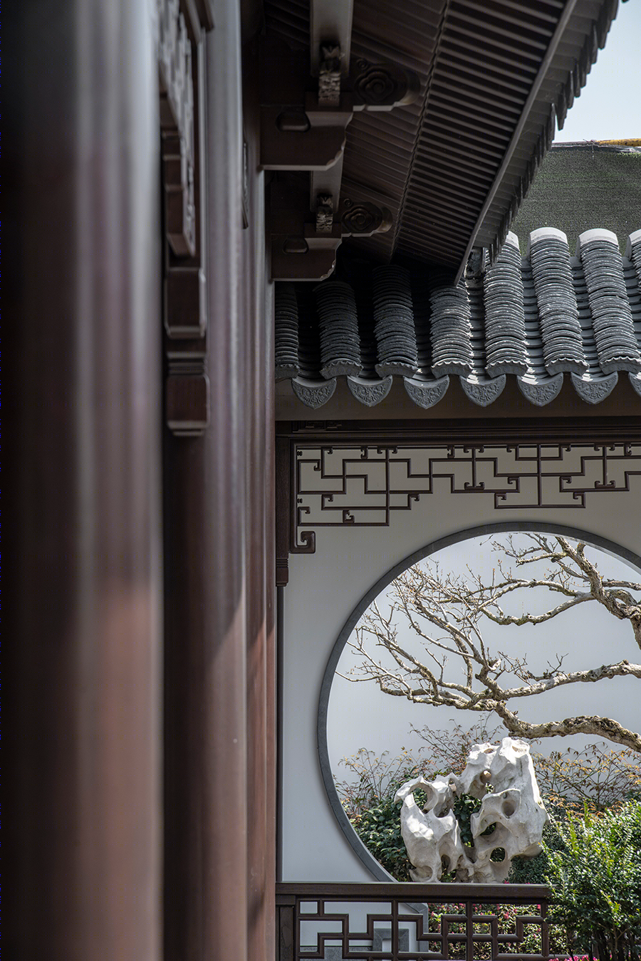 谢天•玫瑰园丨一直建筑设计事务所-16