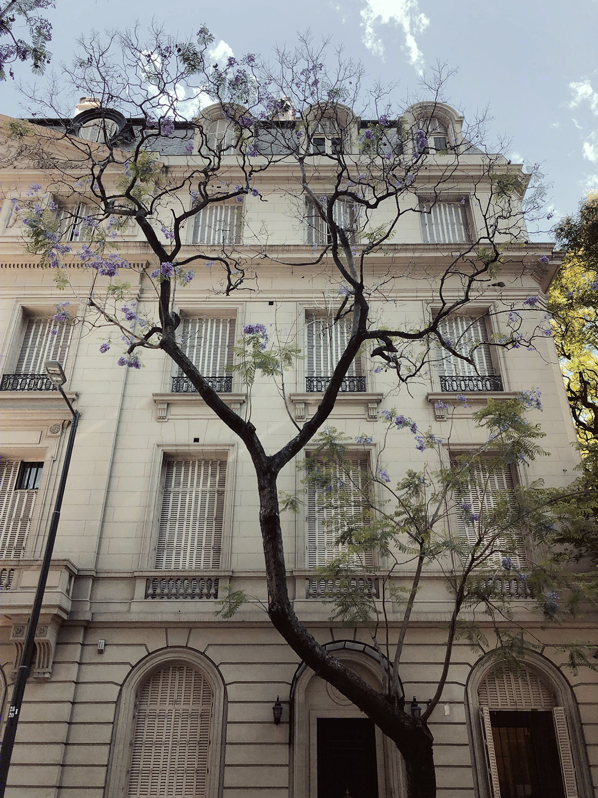 阿根廷 Palermo 公寓丨阿根廷布宜诺斯艾利斯-10