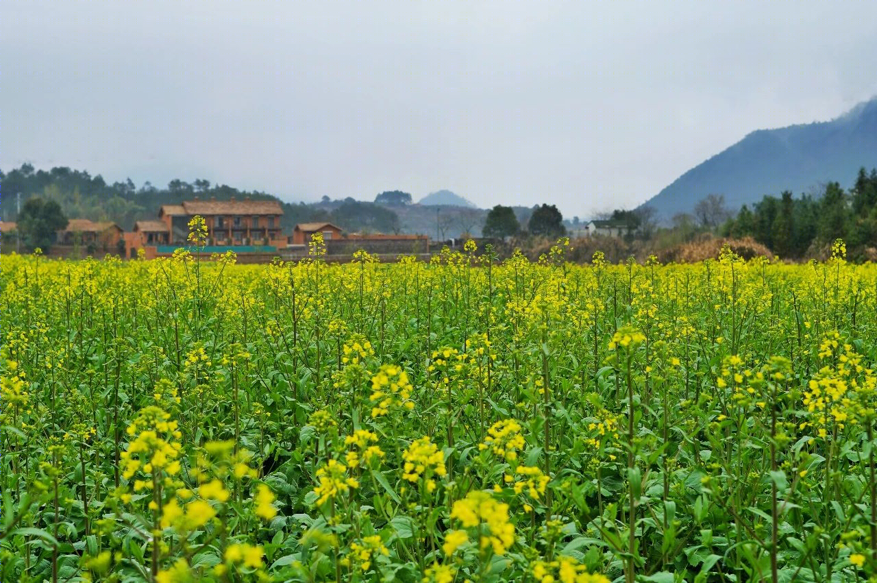 杭州千岛湖|千岛玄山·岦外丨中国杭州-143